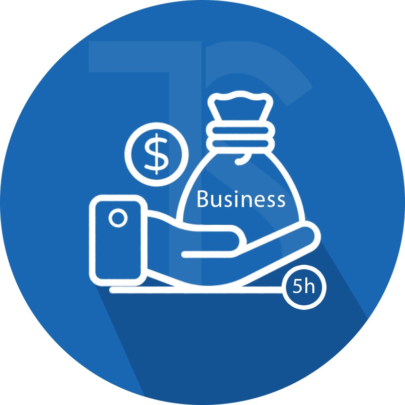 بسته خدمات پشتبانی راهکارهای مالی E-Business مدت 5 ساعت درماه-سالانه